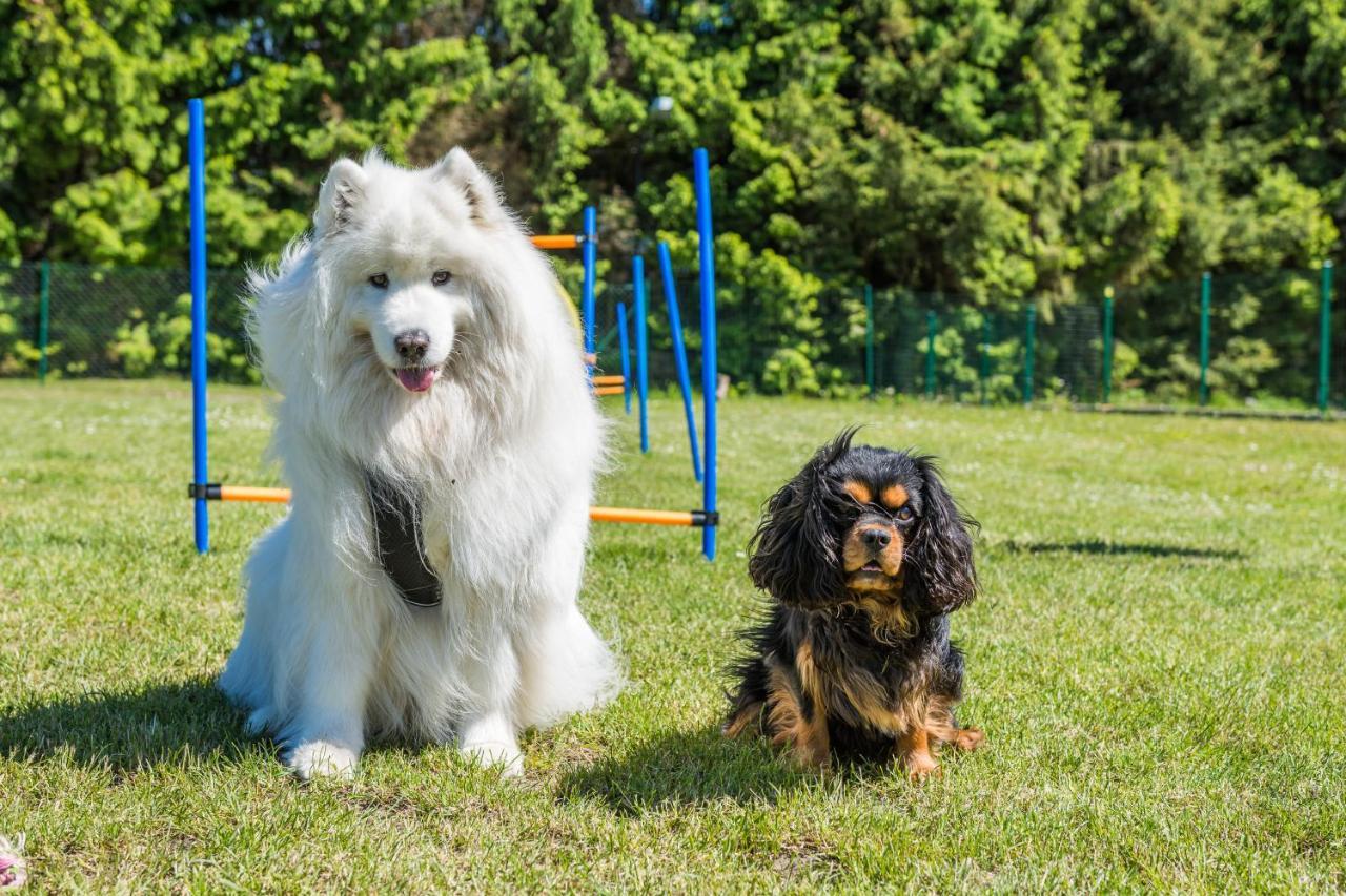 Domy Morskie Dog Friendly ヤンタル エクステリア 写真