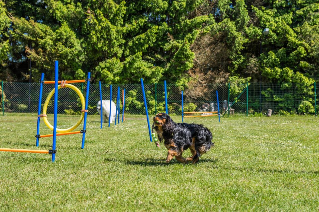 Domy Morskie Dog Friendly ヤンタル エクステリア 写真