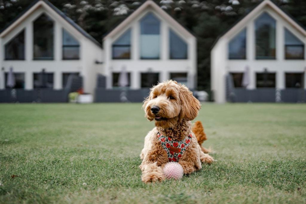 Domy Morskie Dog Friendly ヤンタル エクステリア 写真